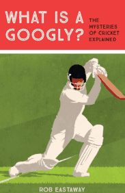 What Is A Googly?