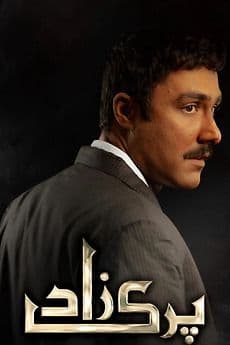 5 Reasons Why HUM TV’s Parizaad Is A Class Apart!